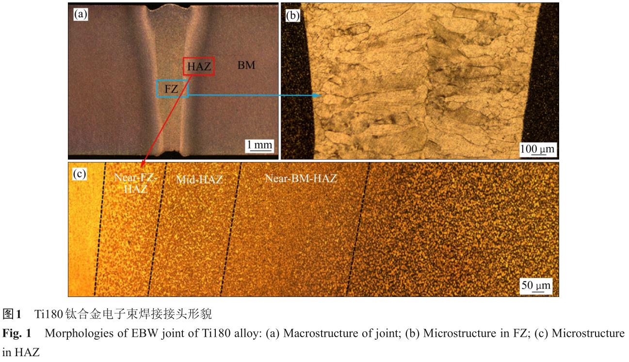 1723728868217344.jpg t1.jpg