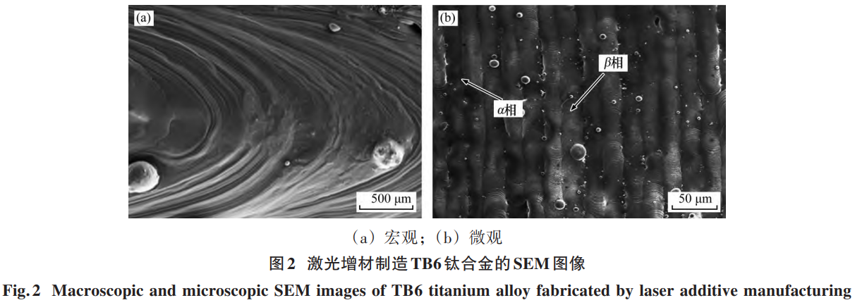 1757642374792101.png 截圖20250912095835.png