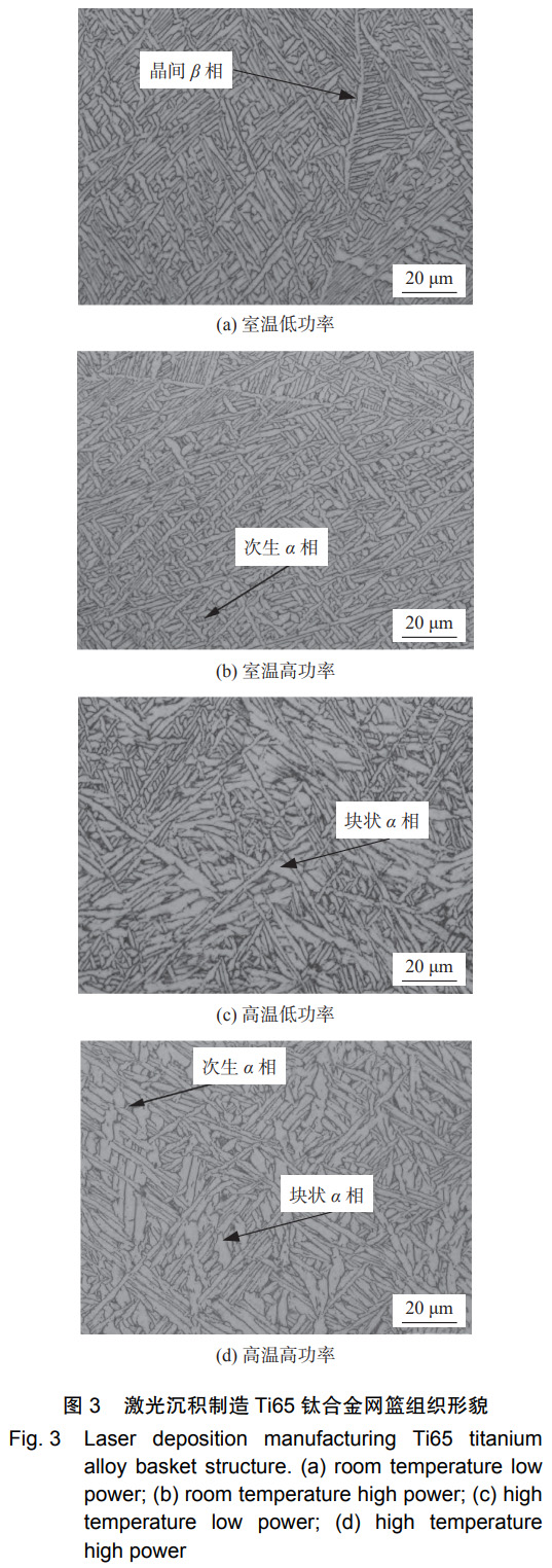 1766307382695784.jpg 3.jpg