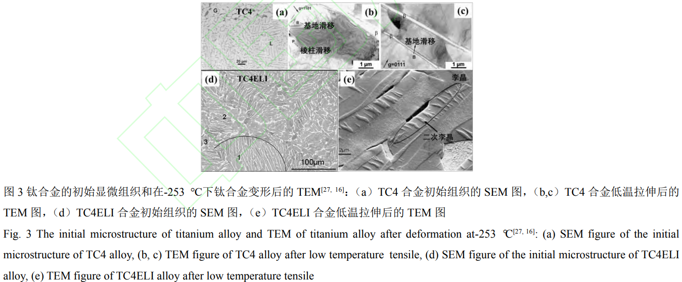 1768966424220109.png 截圖20260121113014.png