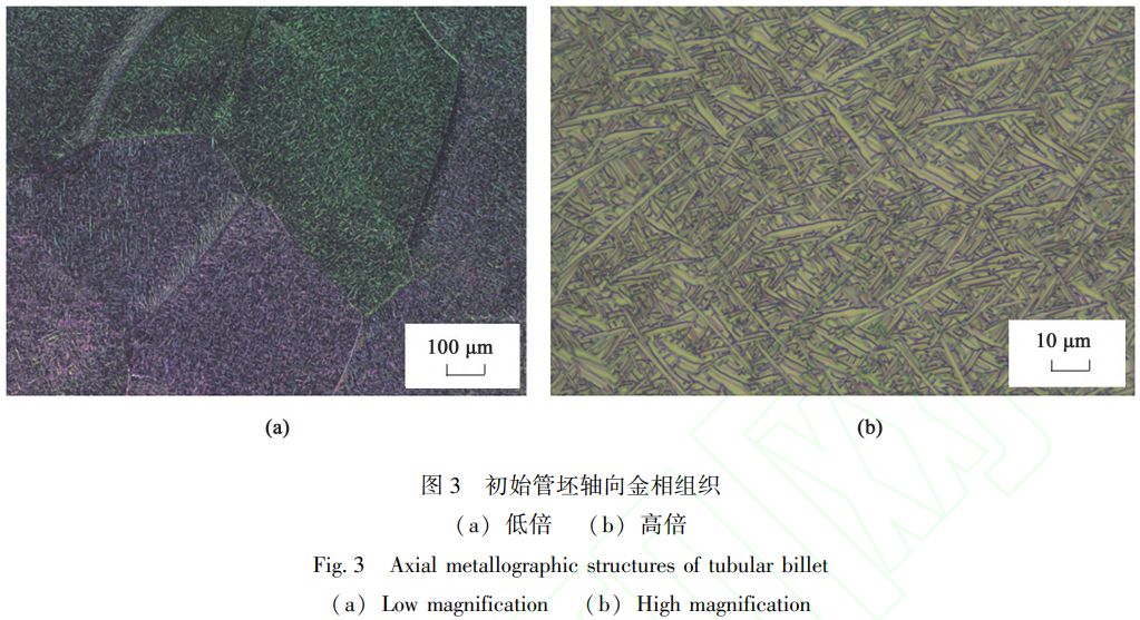 1772675682855862.png 3.png