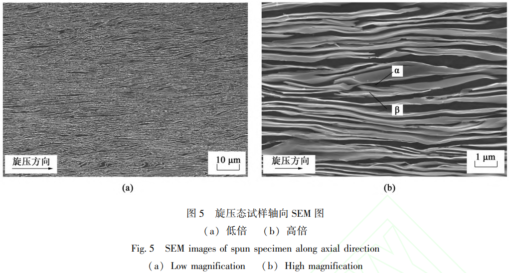 1772675776393951.png 5.png