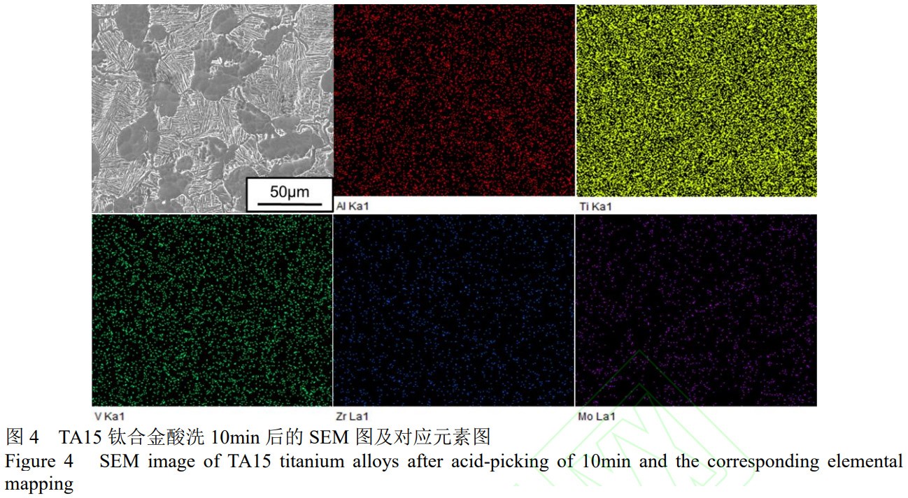 1776043463614365.jpg 4.jpg